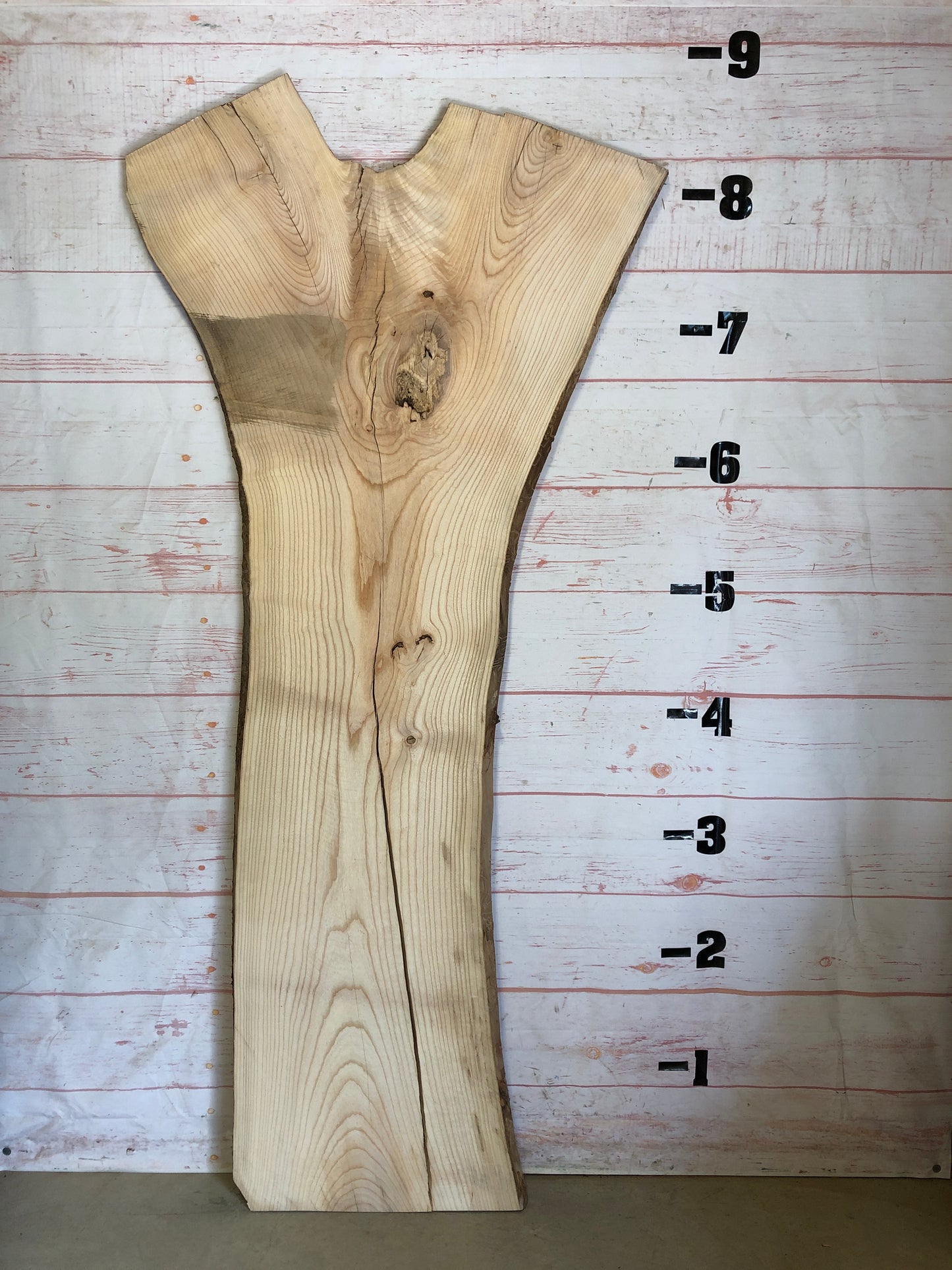 Live Edge Ash Sku#23099-46