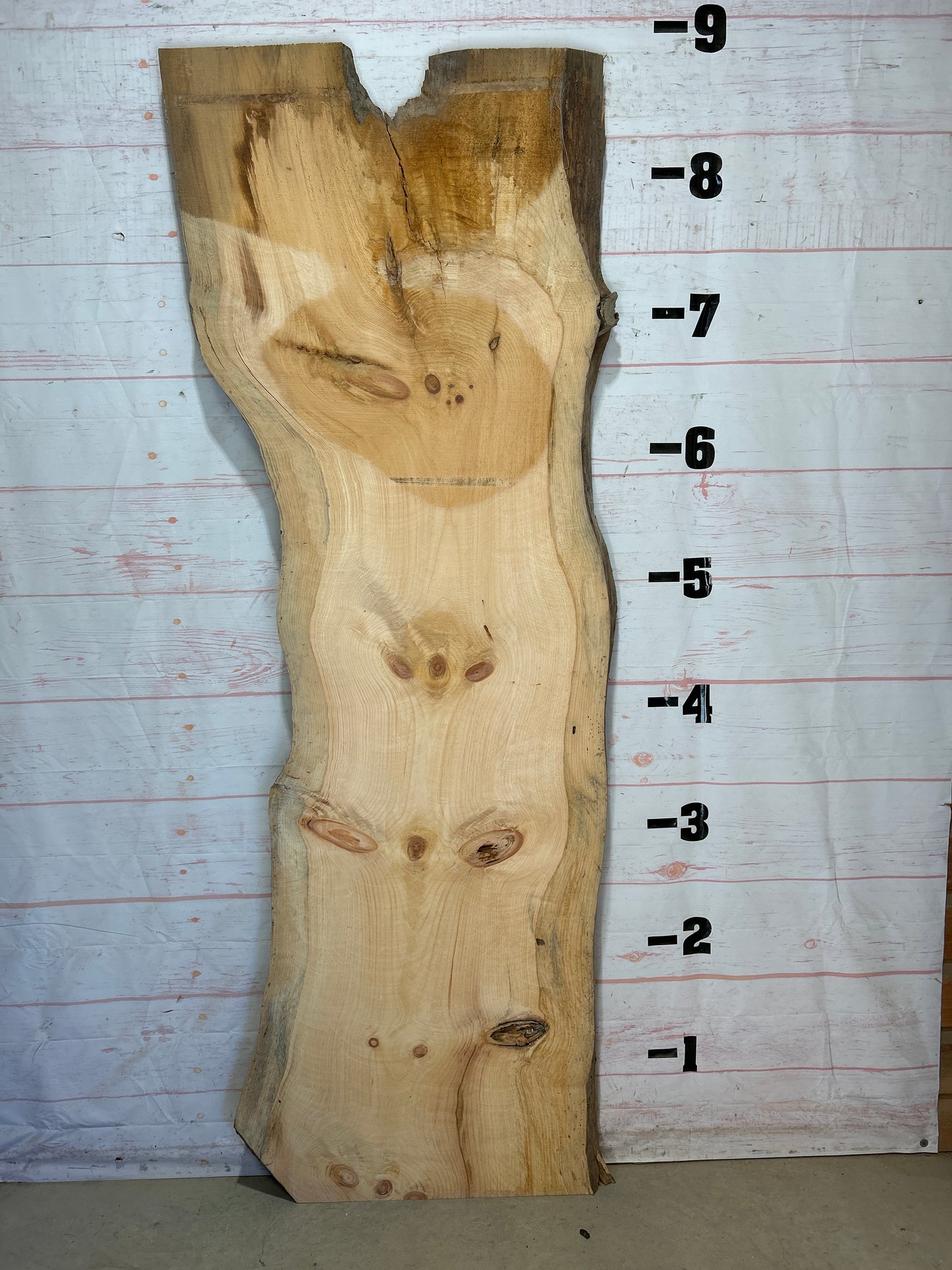 Live Edge Pine Sku#26529-55