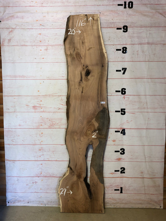 Live Edge Butternut Sku#23178-39