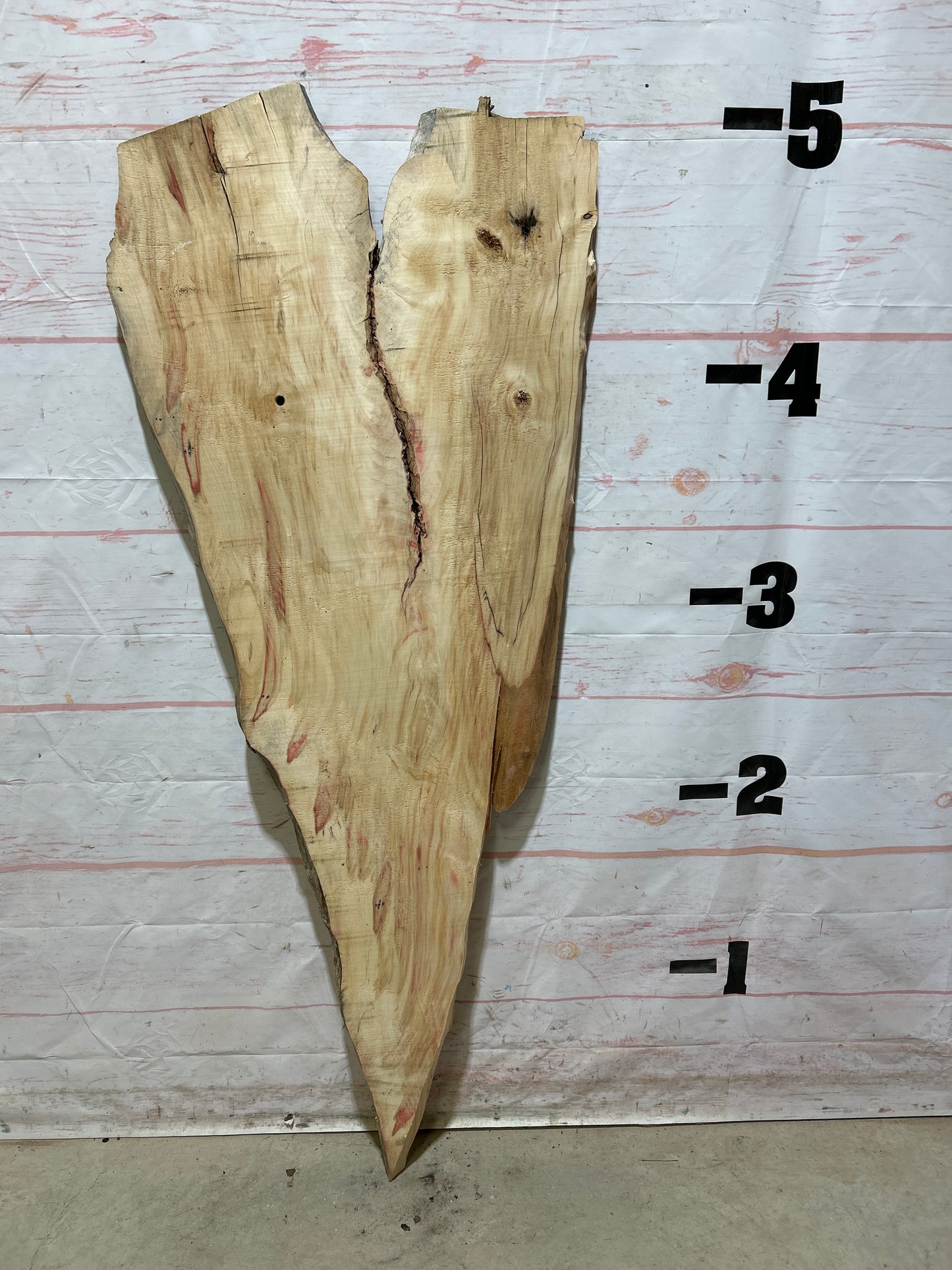 Live Edge Box Elder Sku#26913M-8