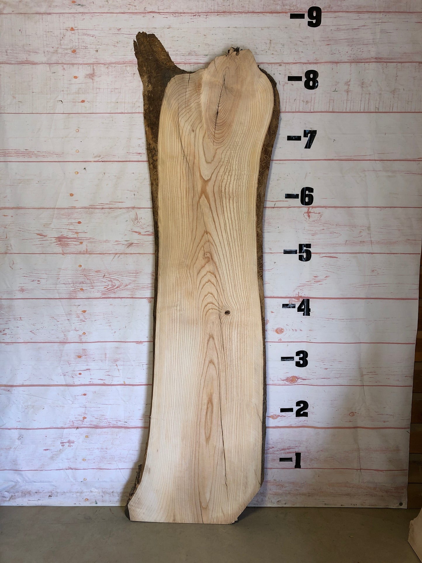 Live Edge Ash Sku#23097-41