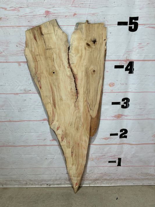 Live Edge Box Elder Sku#26891M-8