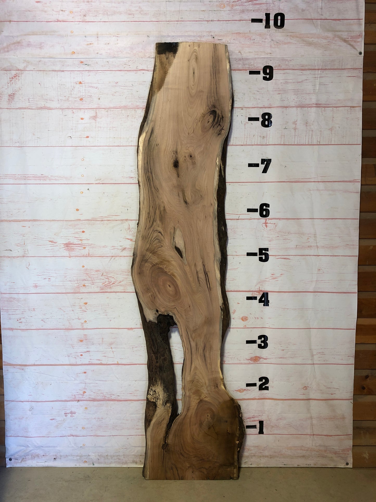 Live Edge Butternut Sku#23178-39