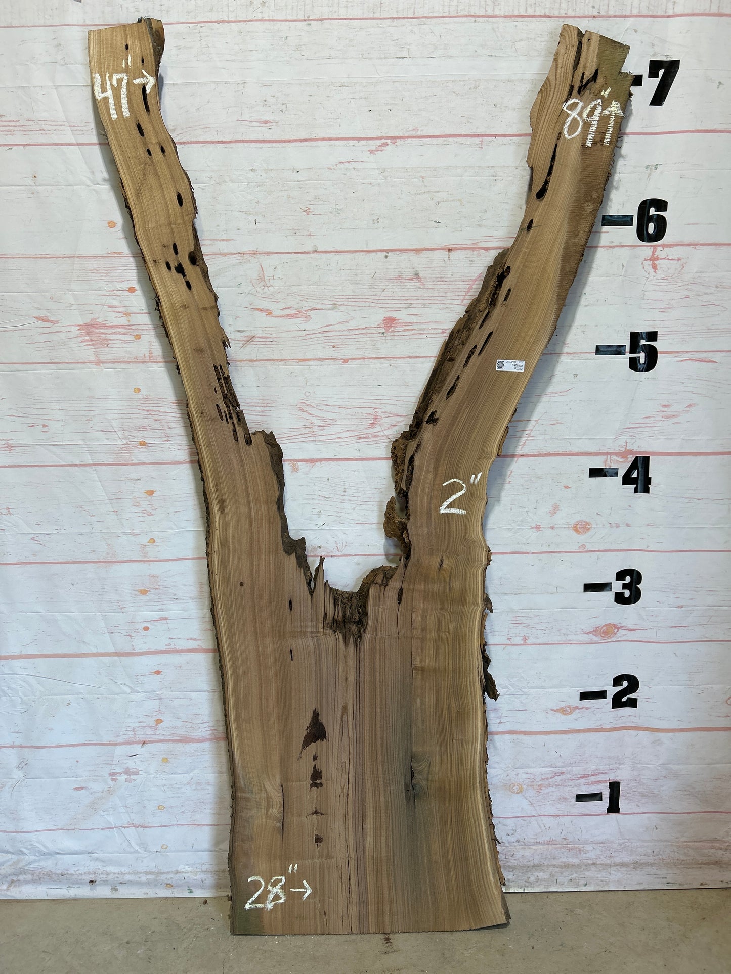 Live Edge Catalpa Sku#25898-25