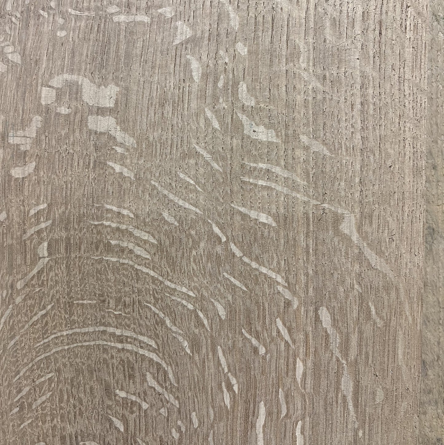 Quartersawn White Oak Hardwood Lumber Top Grade FAS - 25 bdft pack