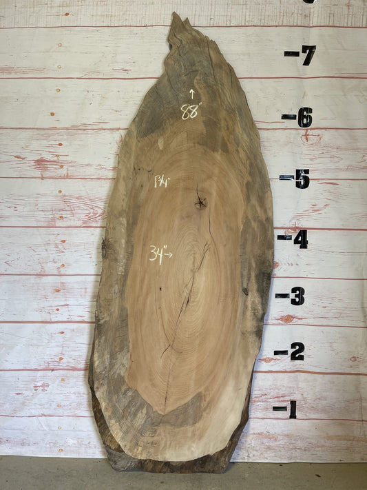Live Edge Sycamore – Sku# 16886