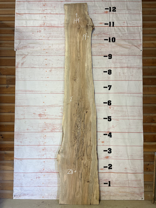 Live Edge Maple – Sku# 18181