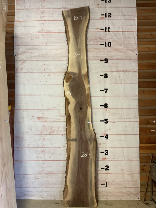 Live Edge Walnut Sku# S19029