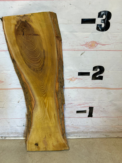 Live Edge Osage Orange SKU#28583M-5
