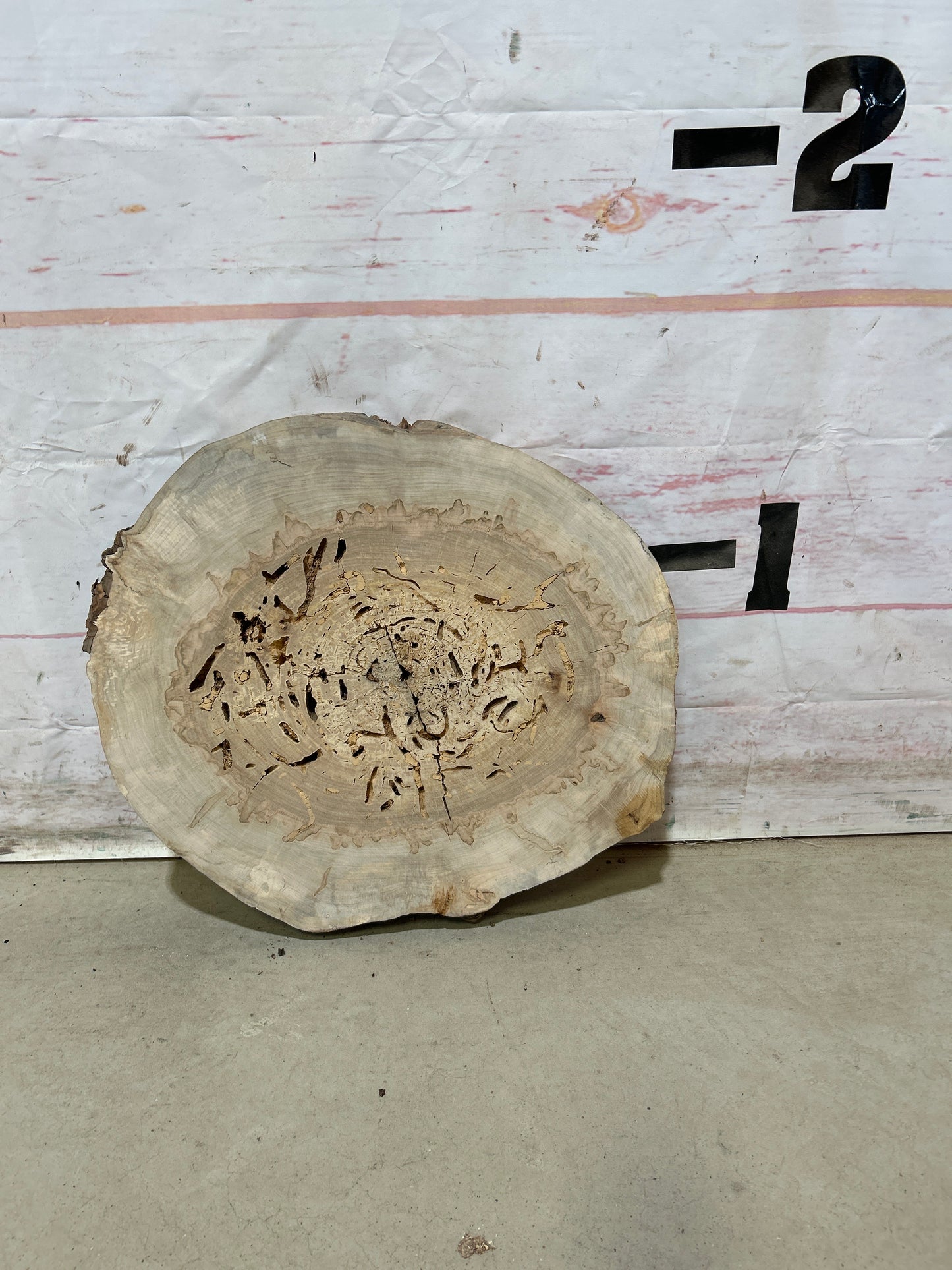 Live Edge Maple Cookie Sku#27882M