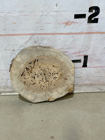 Live Edge Maple Cookie Sku#27882M