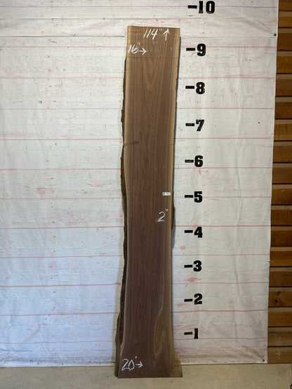 Live Edge Walnut Sku#28742J-29