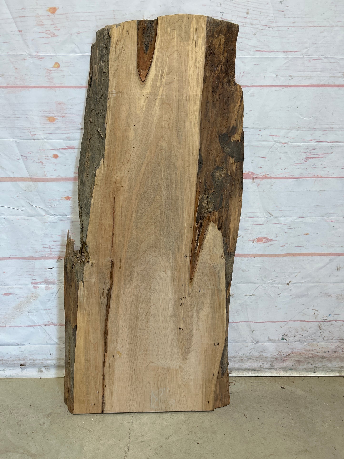 Live Edge Maple Sku#27636M-13