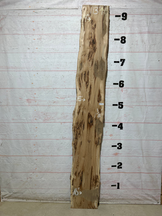 Live Edge Hickory Sku#28234-18