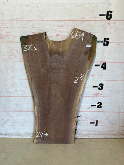 Live Edge Walnut Sku#28723N-32
