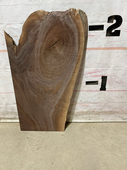 Live Edge Walnut Sku#28379M-5