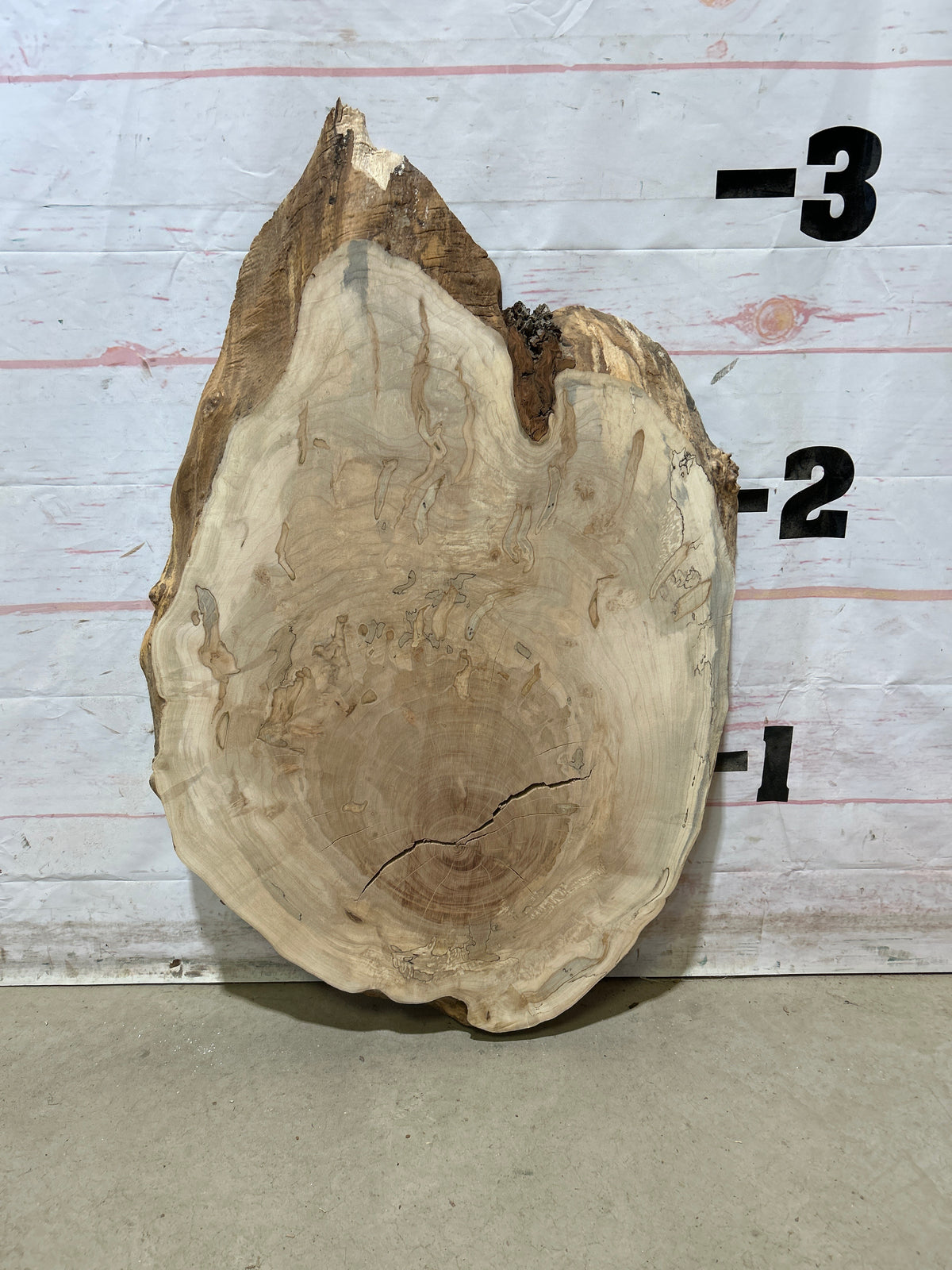 Live Edge Maple Sku#28825M