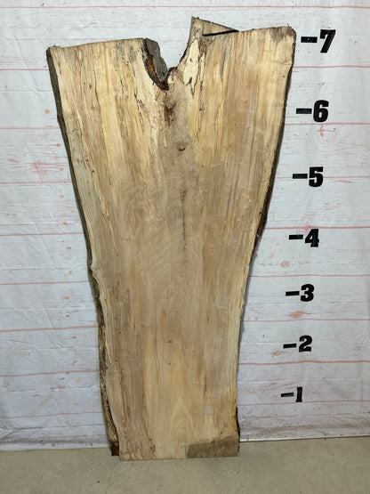 Live Edge Maple Sku#28317B-40