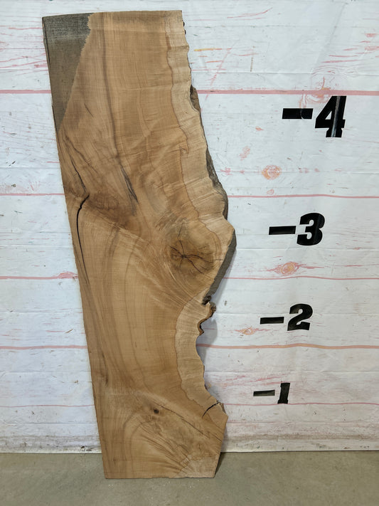 Live Edge Maple Sku#28338E-9
