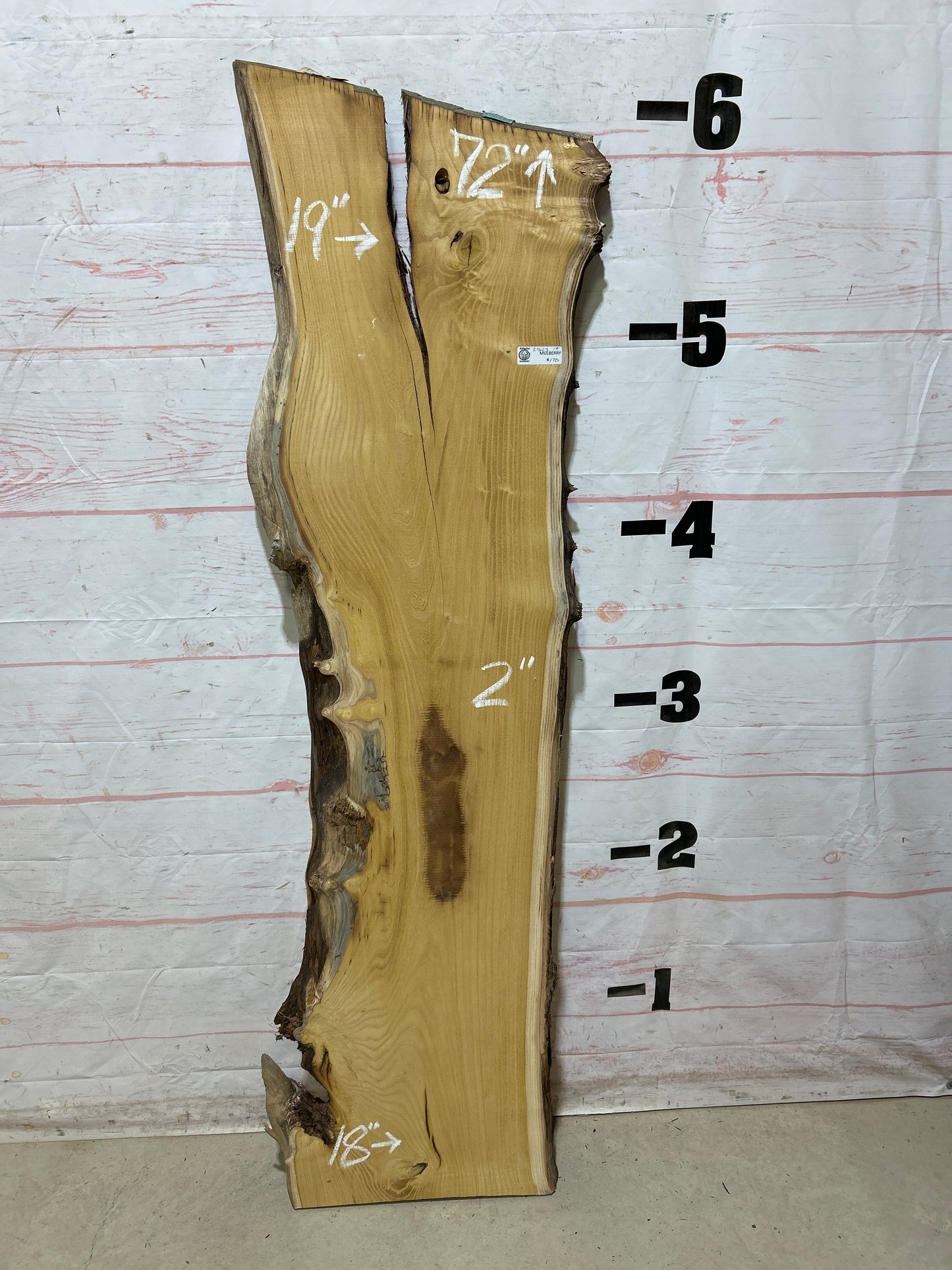 Live Edge Mulberry Sku#27623H-19