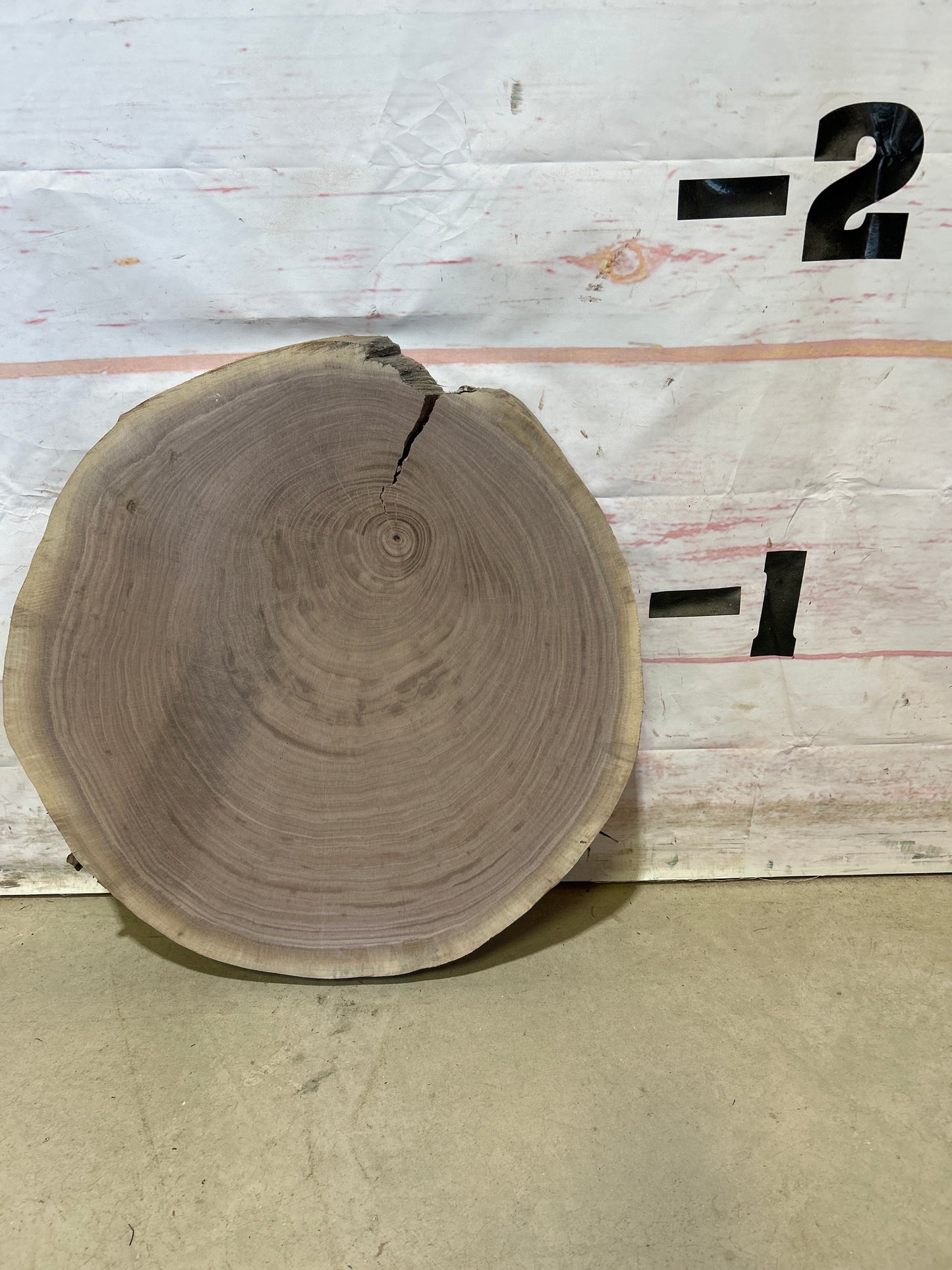 Live Edge Walnut Cookie Sku#27992M