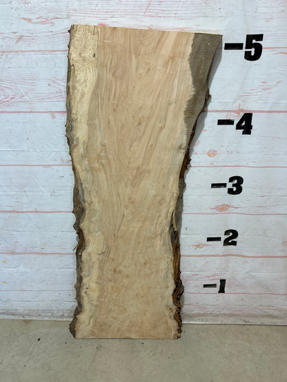 Live Edge Maple Sku#28433E-23