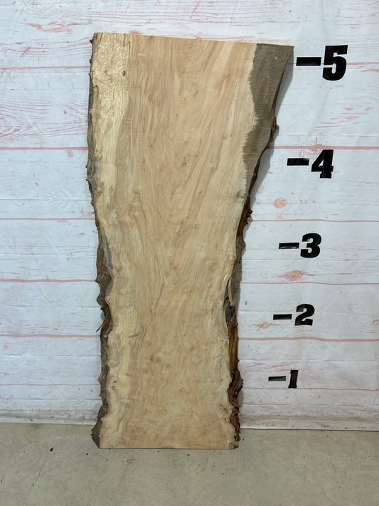 Live Edge Maple Sku#28433E-23