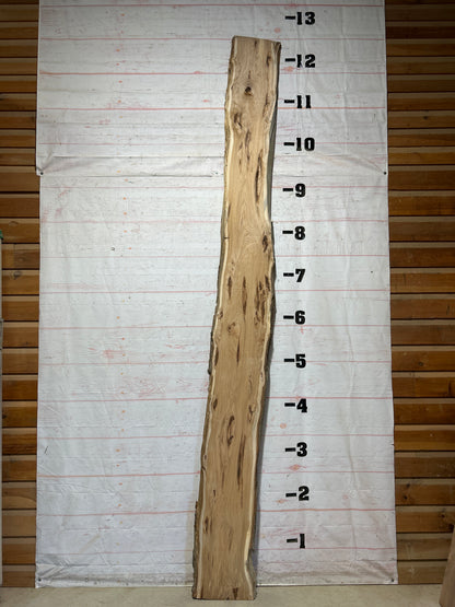 Live Edge Hickory Sku#28596-24