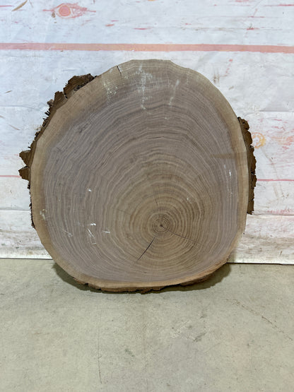 Live Edge Walnut Cookie Sku#28171M