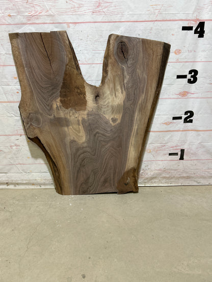 Live Edge Walnut Sku#27233M-22