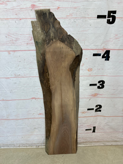 Live Edge Walnut Sku#28483G-14