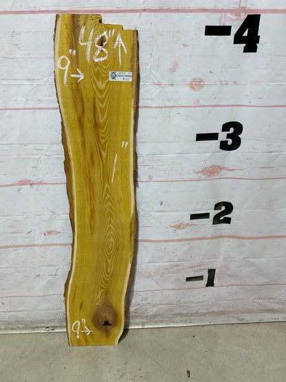 Live Edge Osage Orange Sku#28193M-3