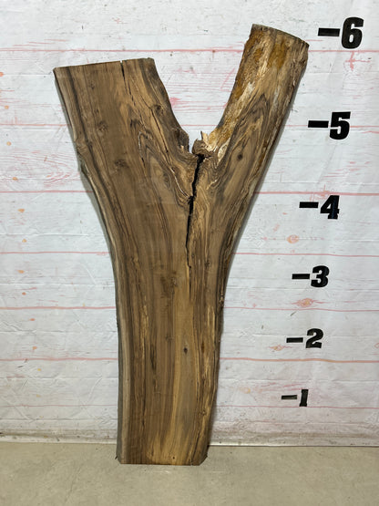 Live Edge English Walnut Sku#28932N-25