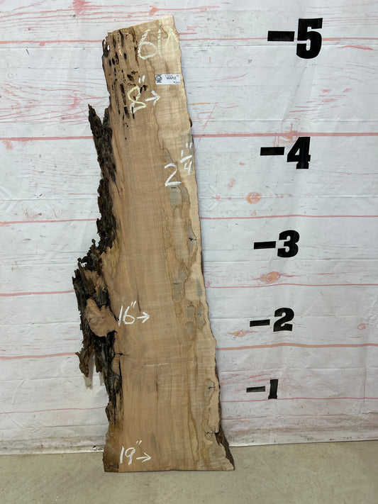 Live Edge Ambrosia Maple Sku#27264-13