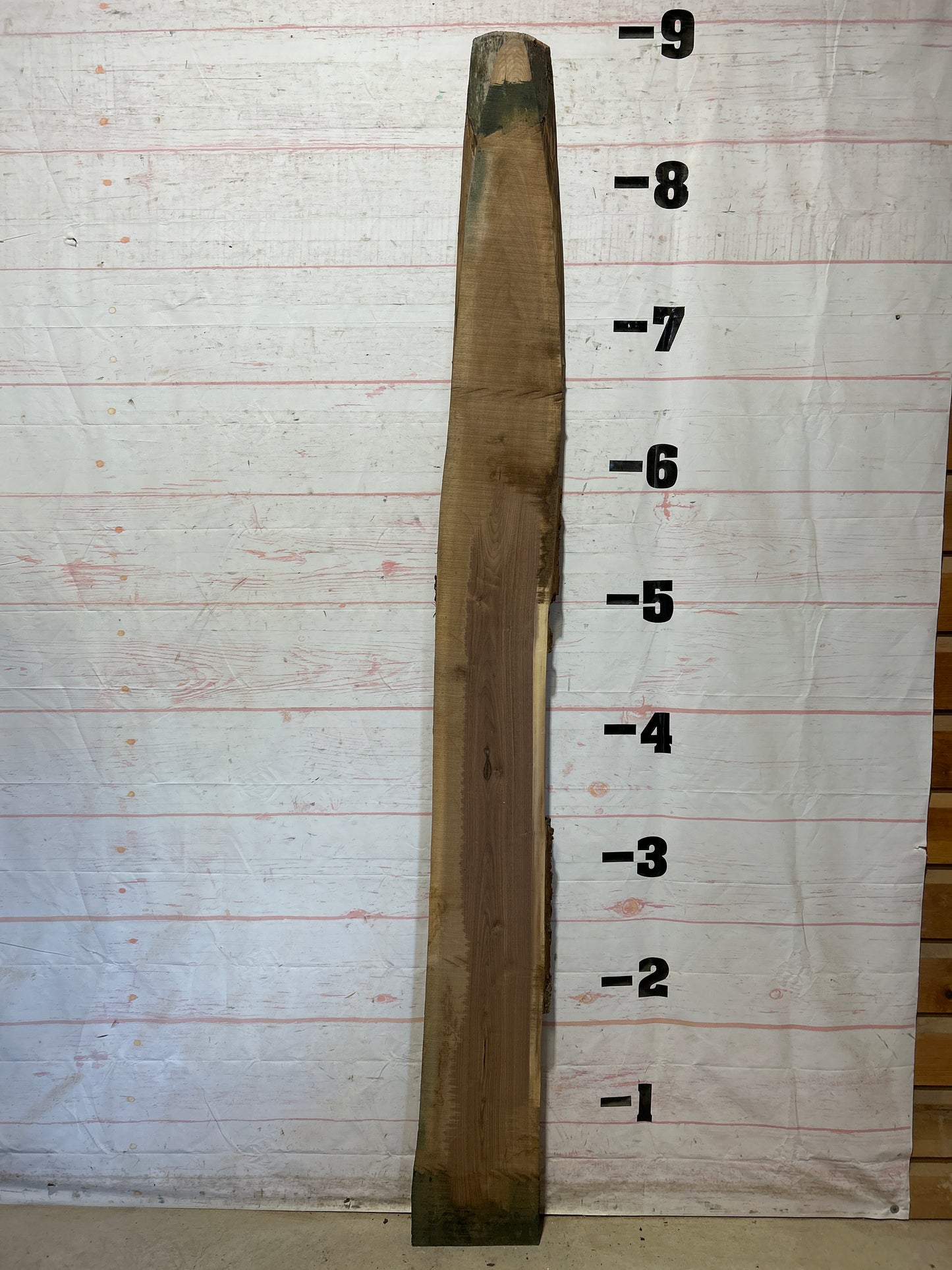 Live Edge Walnut Sku#28004M-10
