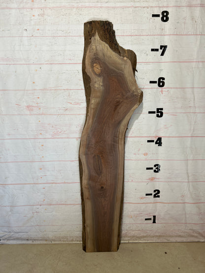 Live Edge Walnut Sku#28888A-24
