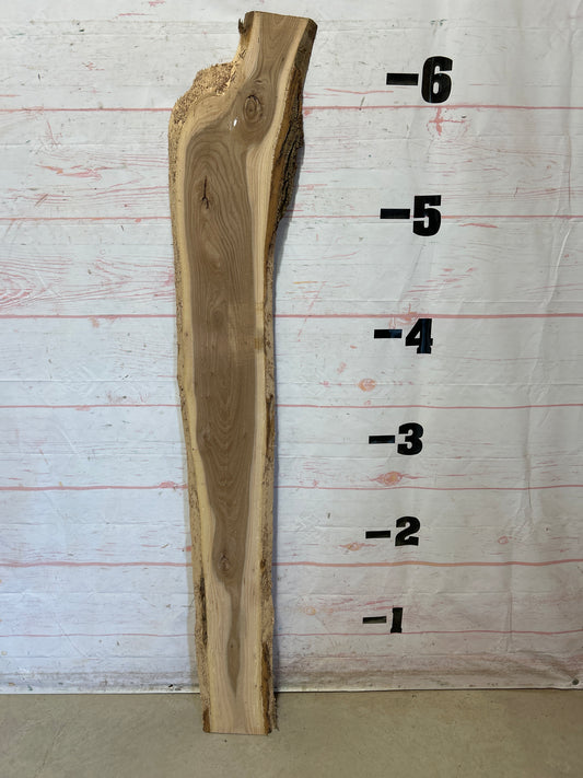 Live Edge Elm Sku#25659H-9