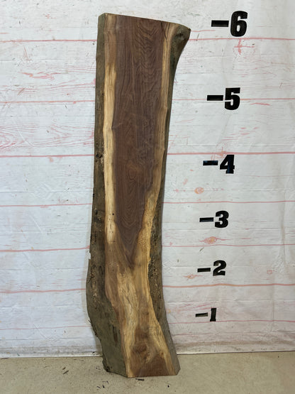 Live Edge Walnut Sku#28484G-15