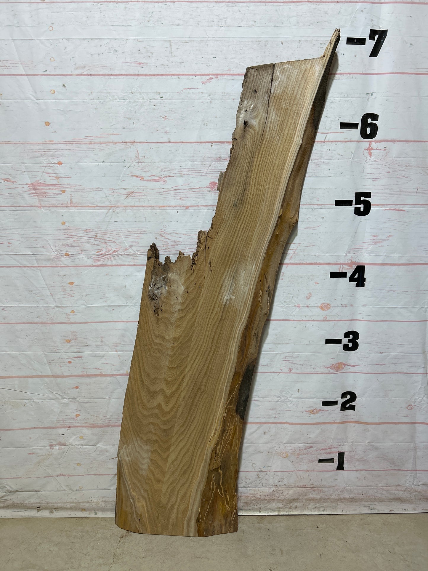 Live Edge Catalpa Sku#27428-23