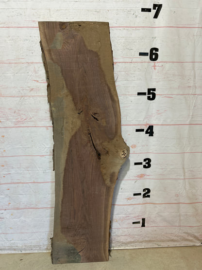 Live Edge Walnut Sku#28532G-24