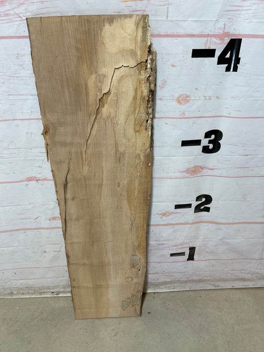 Live Edge Maple Sku#28255M-12