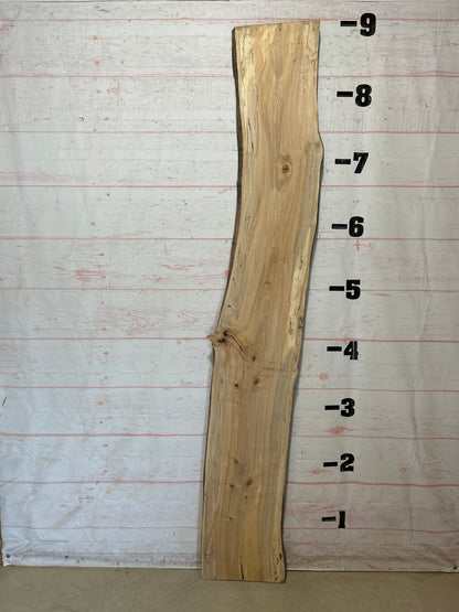 Live Edge Maple Sku#27910-24