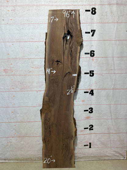 Live Edge Walnut Sku#28105C-25