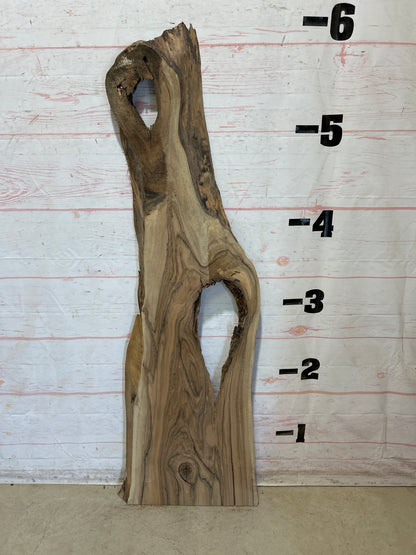Live Edge English      Walnut Sku#28423M-16