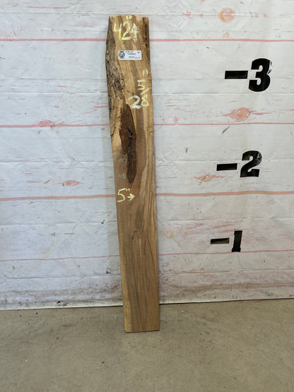 Turning Stock Soft Maple Sku#29015M-4