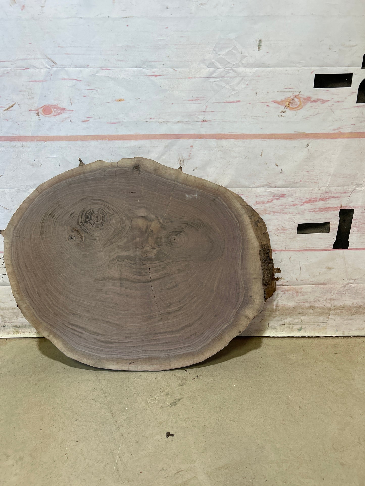 Live Edge Walnut Cookie Sku#27988M