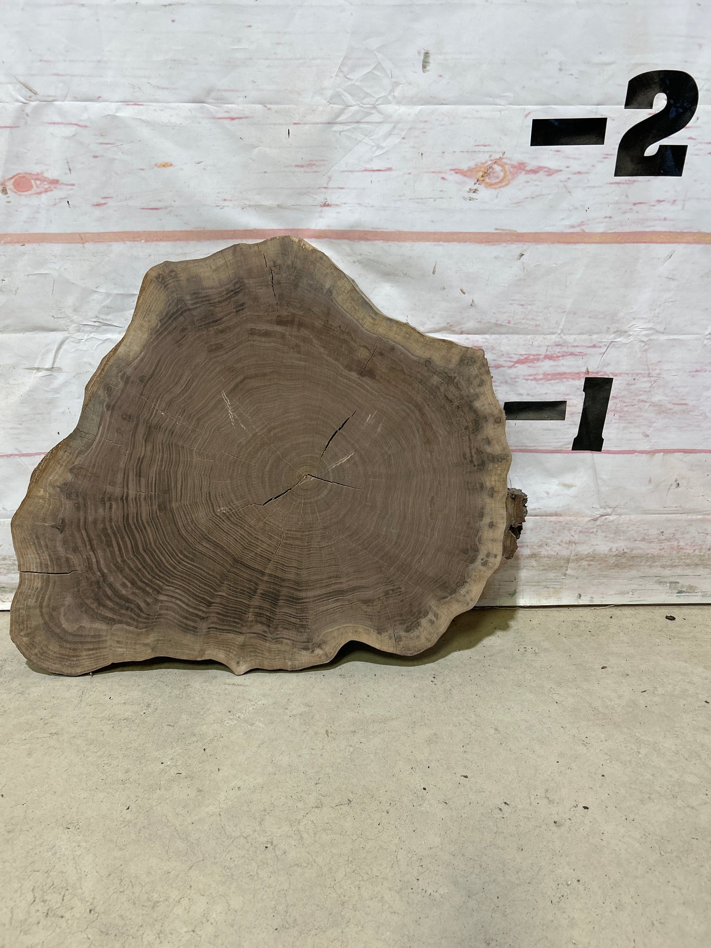 Live Edge Walnut Cookie Sku#27874M