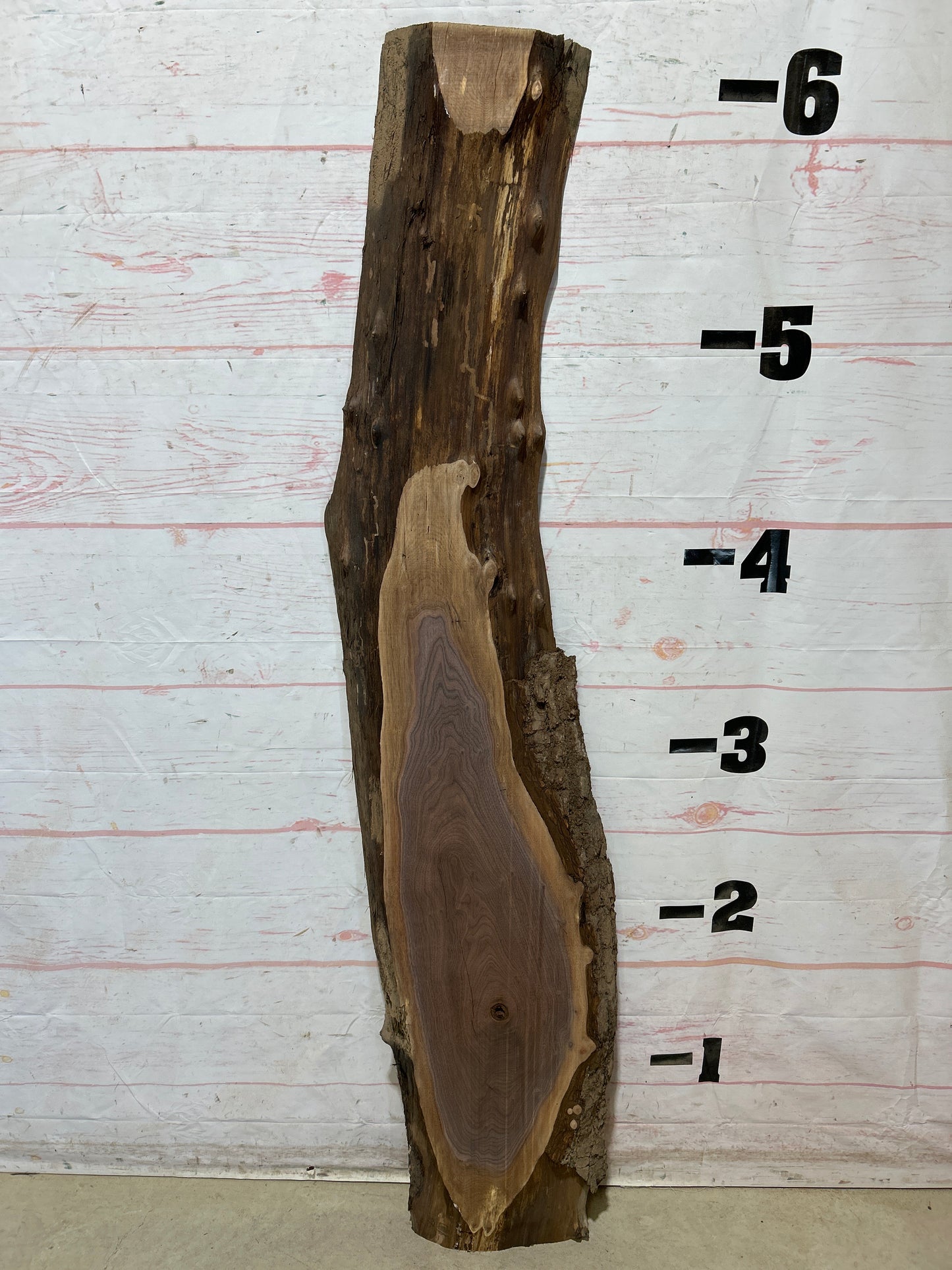 Live Edge Walnut Sku#28480G-13