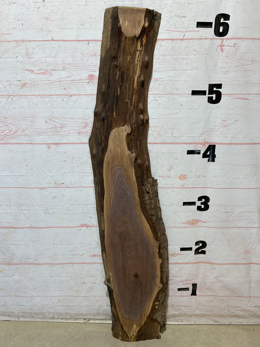 Live Edge Walnut Sku#28480G-13