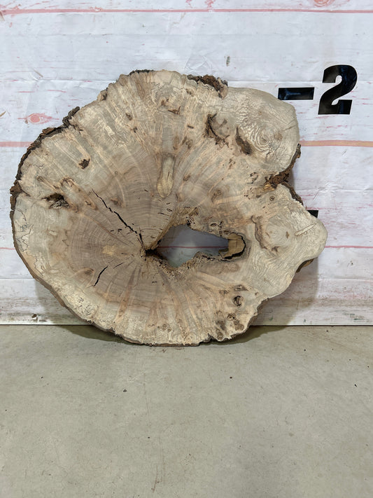 Live Edge Maple Cookie Sku#27890M